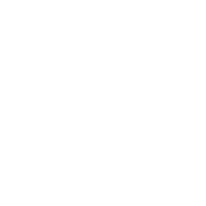 Picture of WSF Team